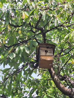 EŠTE NIŽŠIA CENA  KRÁSNA ZÁHRADA NA BETLIARSKEJ CESTE  - 2