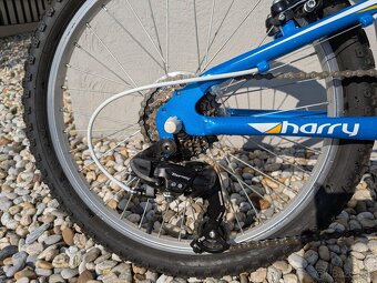 Detský bicykel Harry ZERO - 2