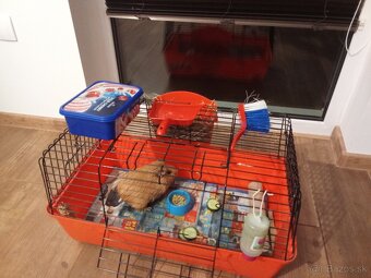 Predám morča s príslušenstvom - 2