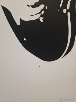 Skrina v 200 x š 115 cm - 2