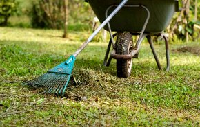Čistenie a upratovanie záhrad / Kosenie trávy - 2