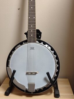 Banjo Richwood 6-strunové - - 2