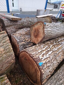 Orechové kmene, orechové fošne - 2