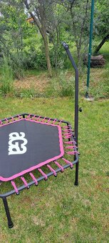 Trampolina fitness - 2