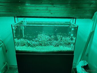 200l akvárium a všetko vibavenie - 2