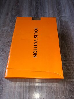 Louis Vuitton Skate White Grey - 2