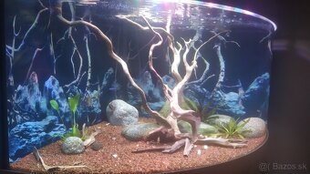 Predám akvárium 350 L - 2