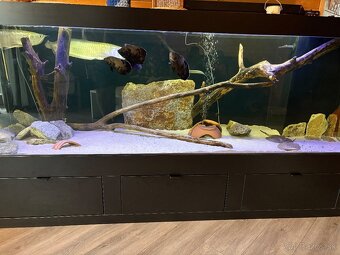 Akvarium 850L - 2