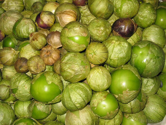 Machovka lepkavá žltá - 2