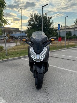 Honda Forza 300 - 2