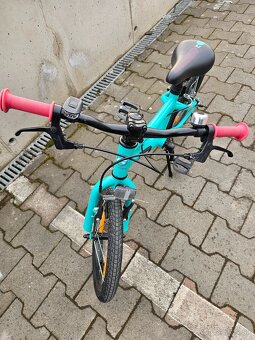 Genesis Melissa 16 - 2