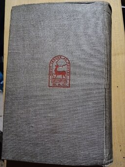 Biblia Vulgata - 2