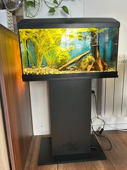 Predám akvárium 50l - 2