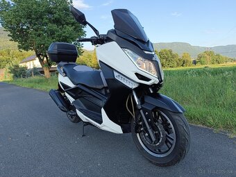 ADAMOTO MAXI T9 125cm3 - 2