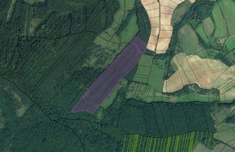 Polina – 2.384 m2 LESY a ORNÁ PÔDA– Na Predaj - 2