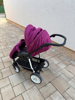 Sportovy kocik teutonia - 2