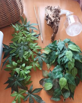 Terárium príslušenstvo - 2