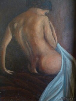 Starožitne obrazy a iné - 2