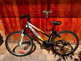 Dámsky bicykel - 2