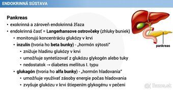Ľudské telo - detailné poznámky - 2