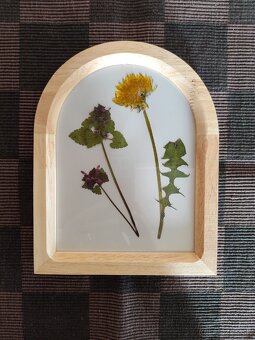 Sušené kvietky v obrazkoch - 2