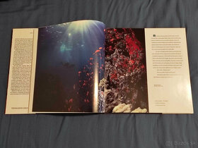 David Doubilet - Light in the sea - velkoformatova kniha - 2