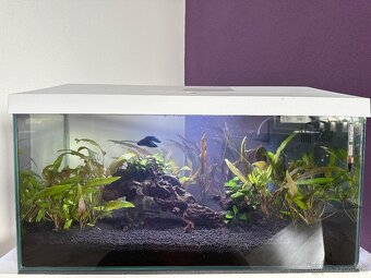 Zabehnuté akvárium Aquael 54L s príslušenstvom - 2