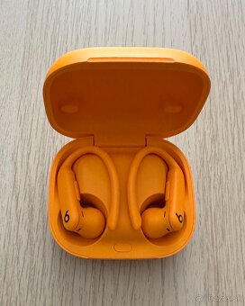 Apple Beats Powerbeats Pro 2 - 2