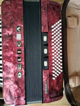 Akordeón Delicia 80, Carmen 2 - 2