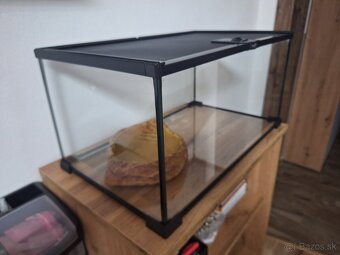 Terárium sklenené Repti Planet - 2