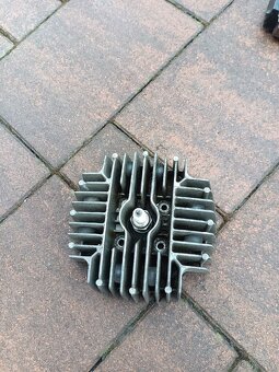 Hlava Valca Manet korado - 2