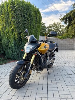 Honda Hornet CB600F - 2