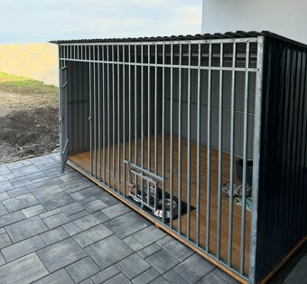 Predáme koterec s búdou - 2