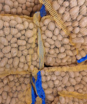 Sadbové zemiaky Soraya - 2