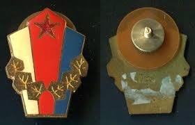 Vzorny vojak, Vzorne druzstvo,odznak CSFR - 2