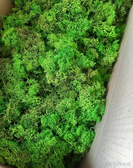 Predám odrezky stabilizovaný mach - 2