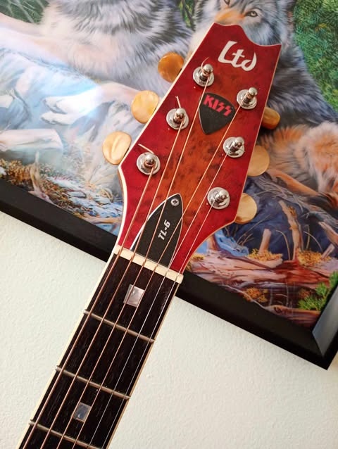 predam LTD ESP TL6 - 3