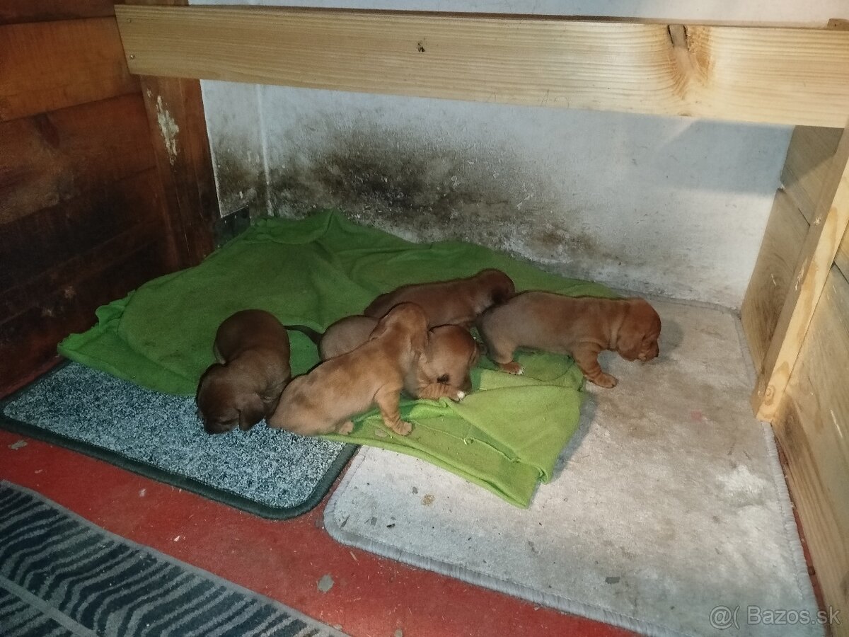 Štence - 3
