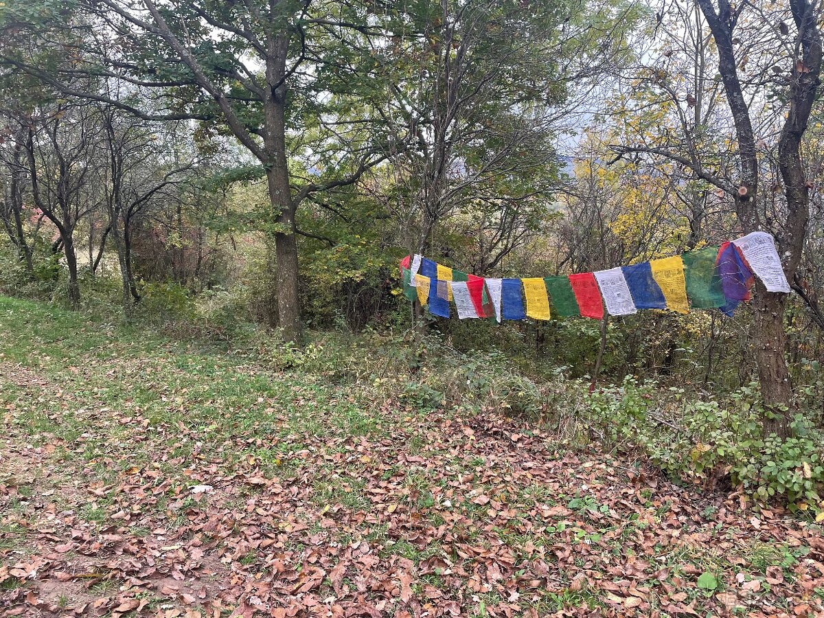 Predam zahradu Nova Bosaca - 3