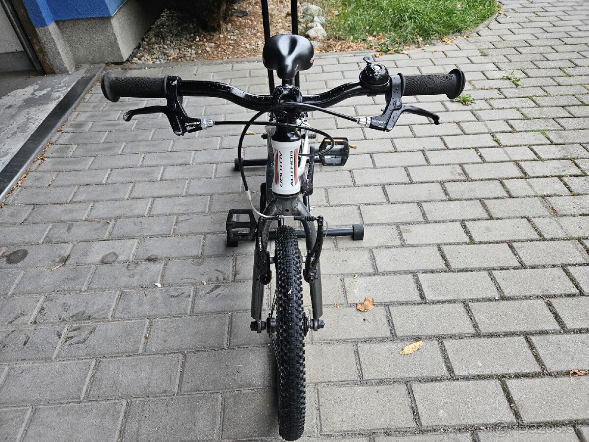 Author record 16" - 3