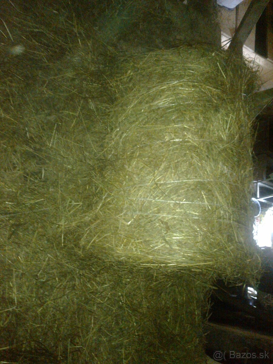 Seno malé okrúhle baliky - 3