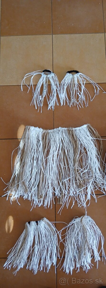 Karnevalový kostym - 3