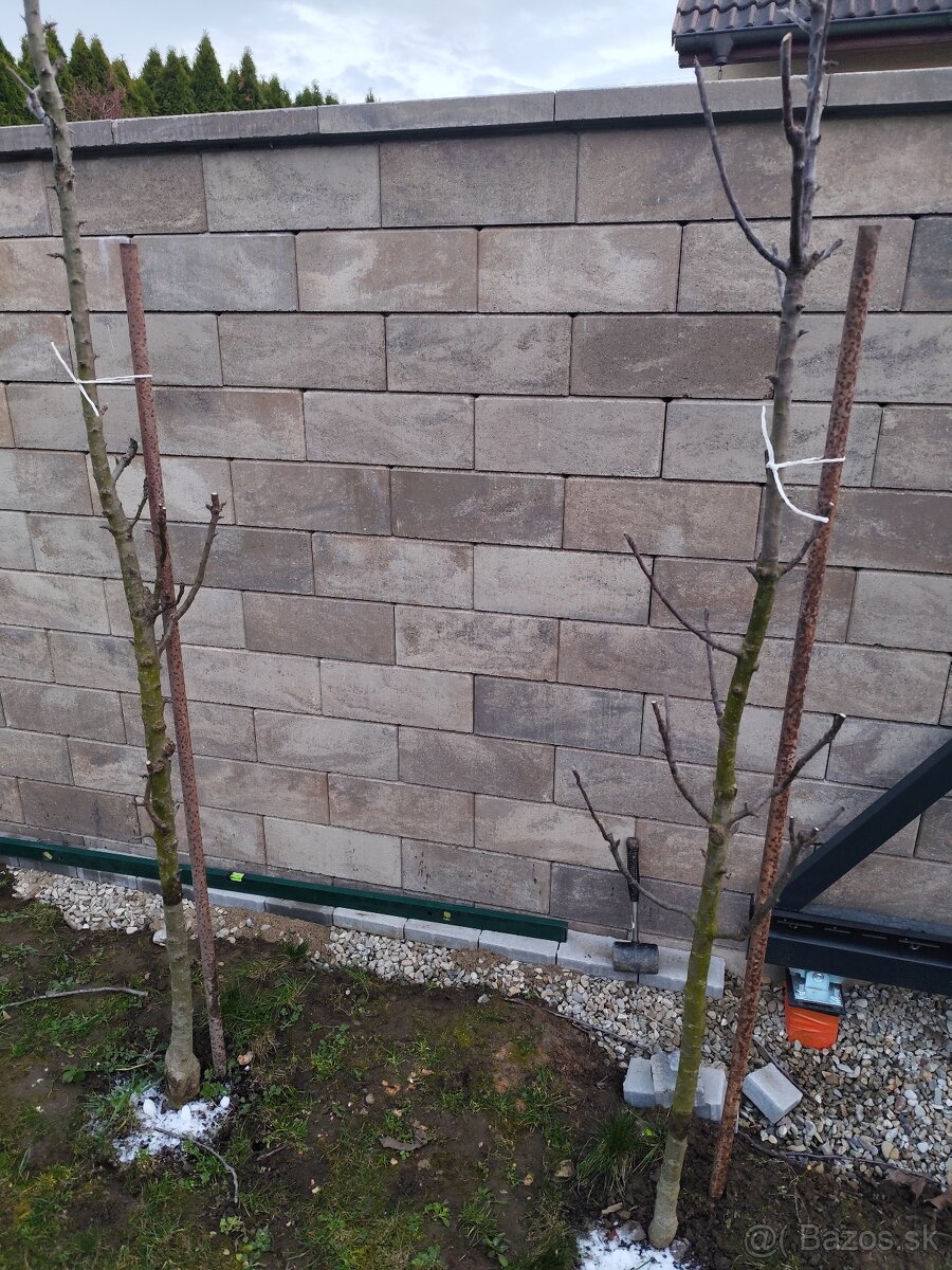 Predám plotové tvárnice - 3