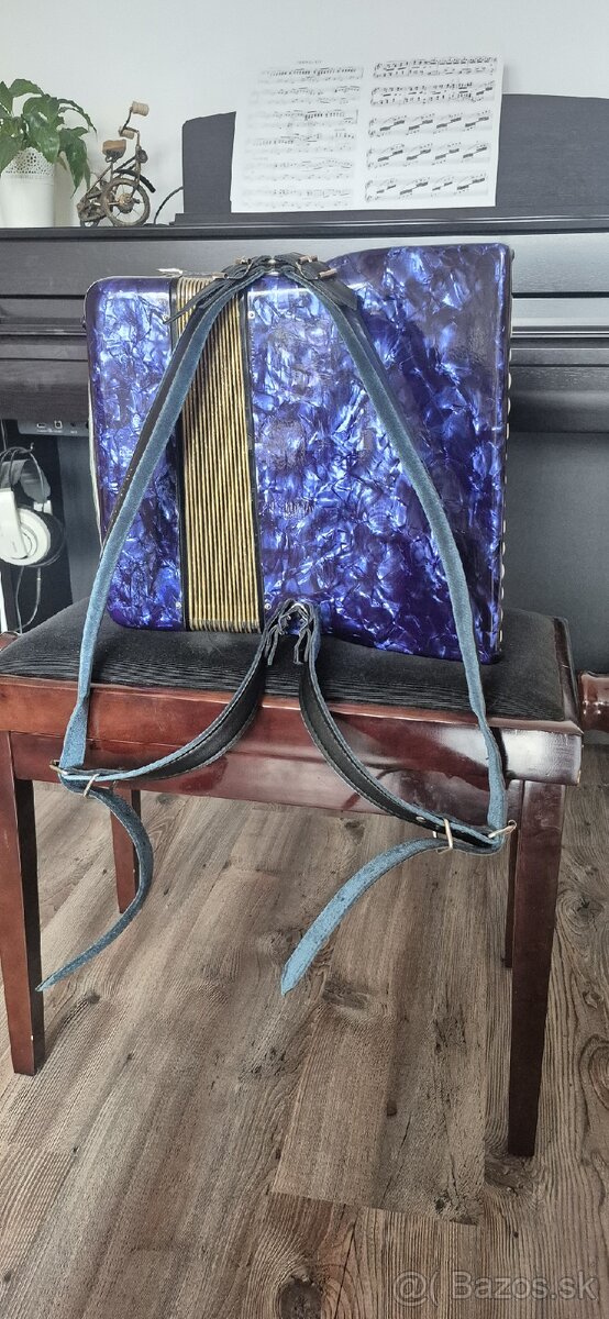 Harmonika delicia 48 basov - 3