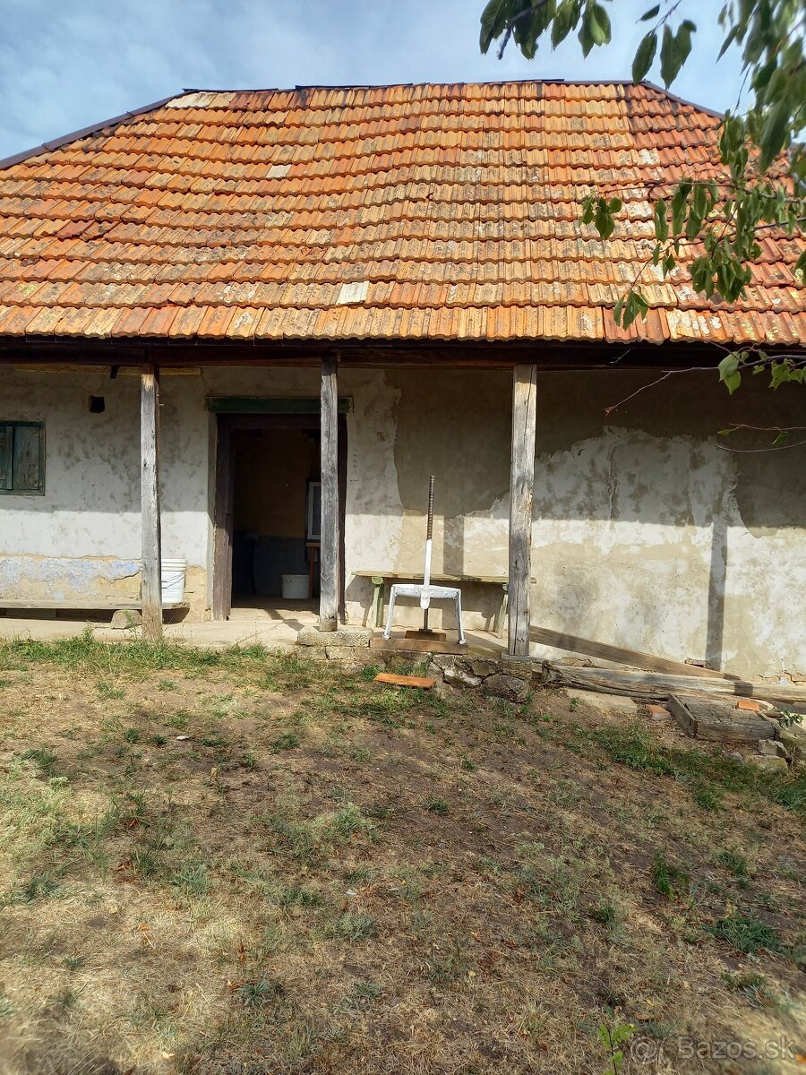 Viničný domček s vinicou - 3
