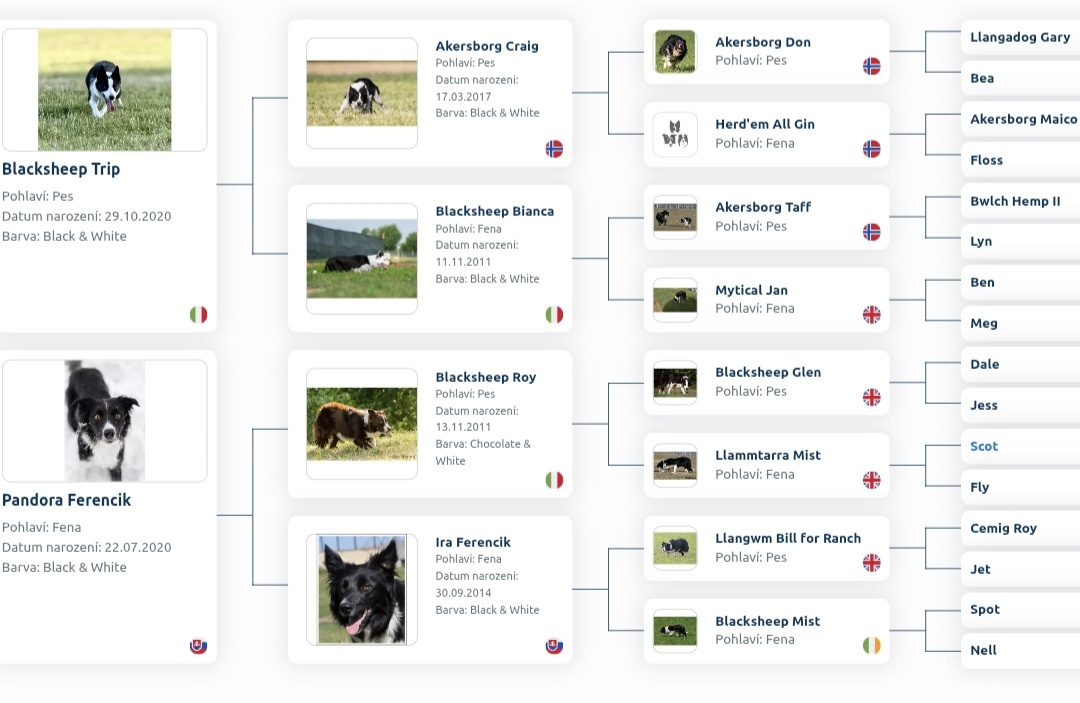 Border kólia - s PP(ISDS) - 3