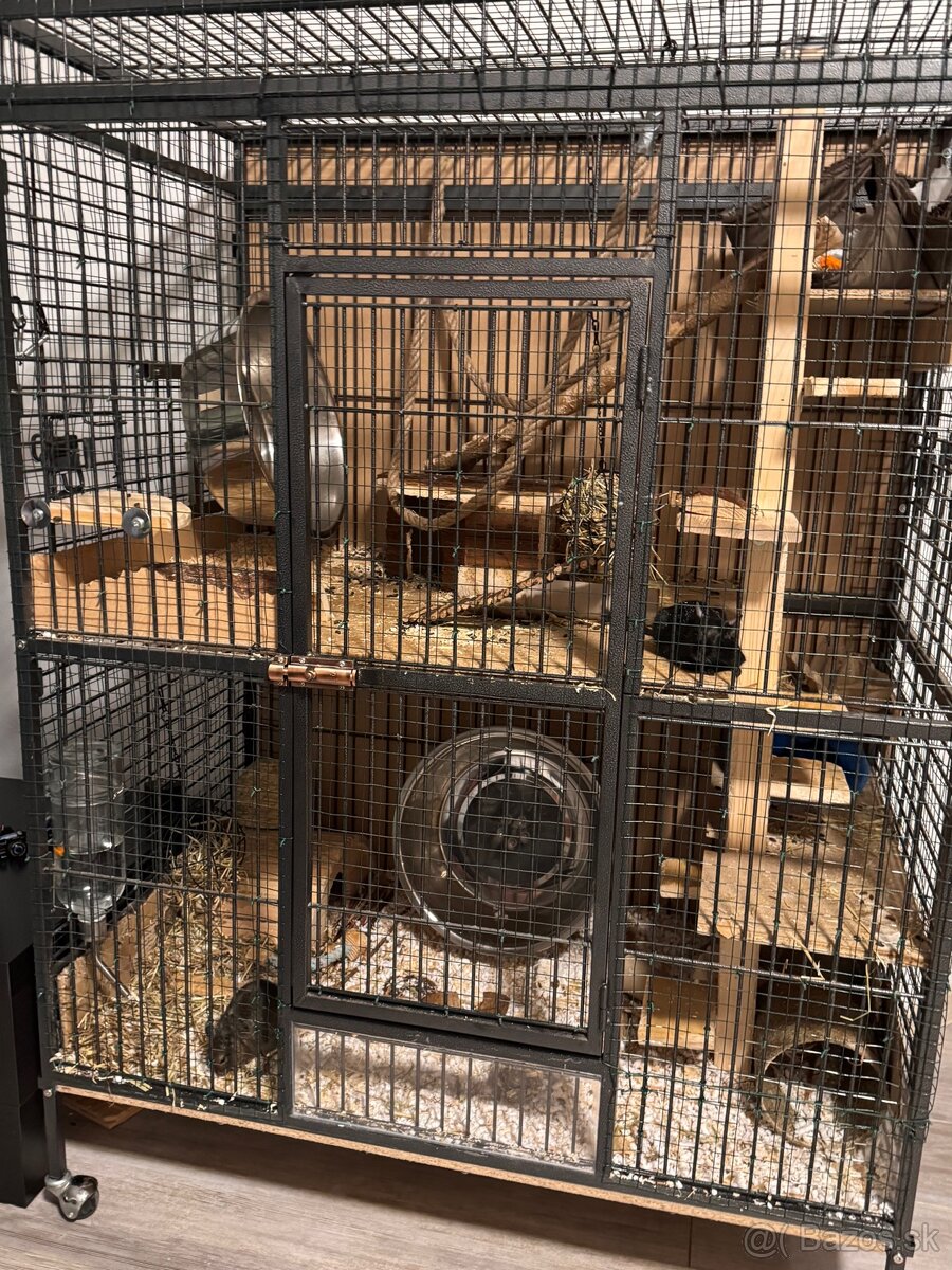 Darujem osmákov degu - 3