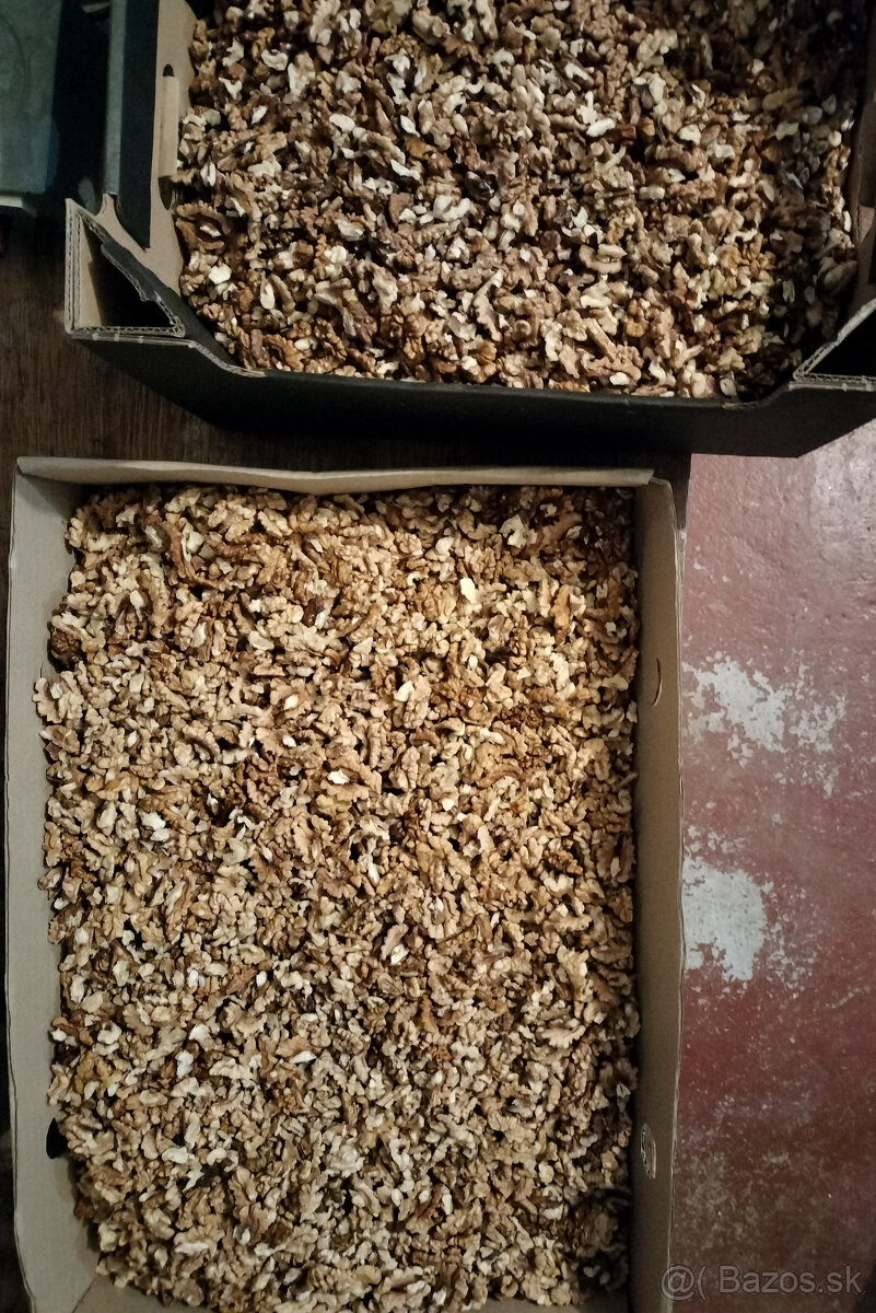 vlašské orechy - 3