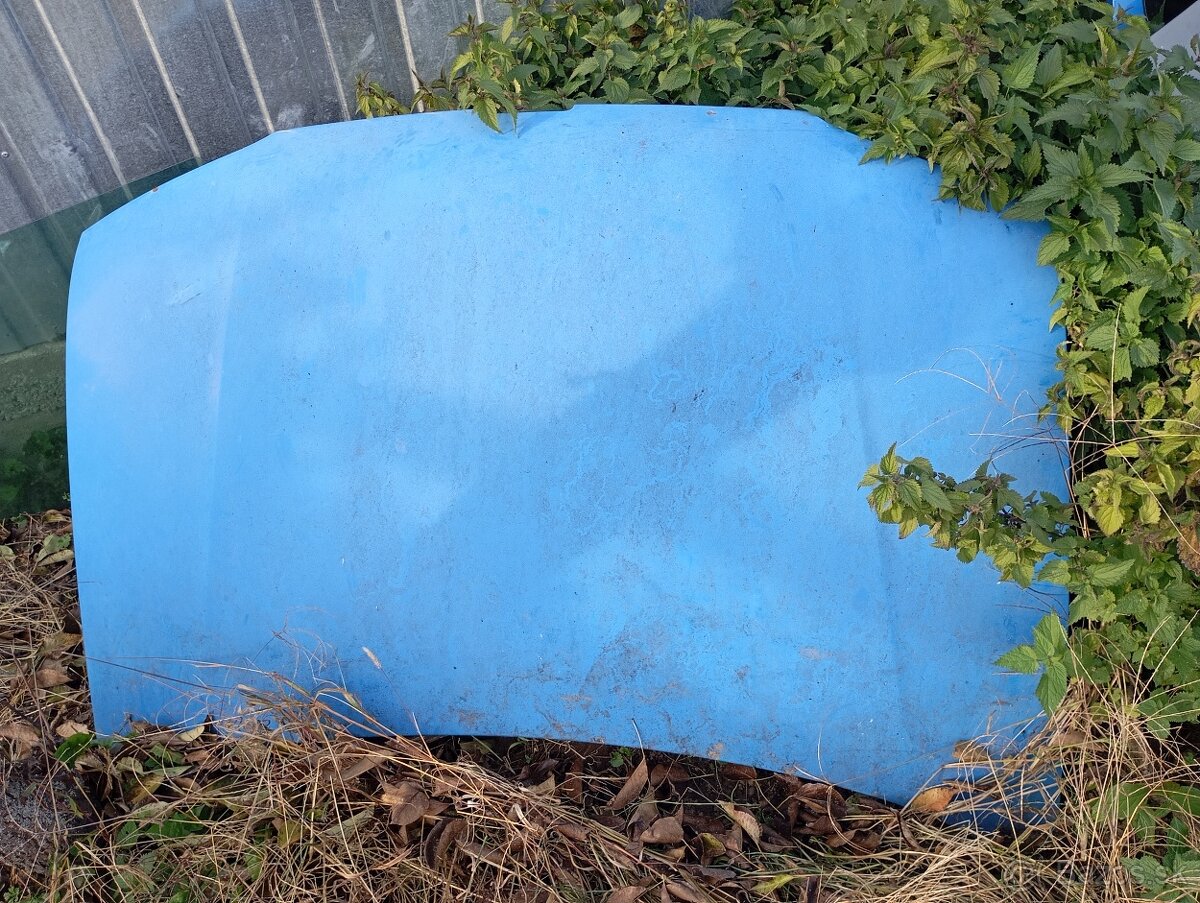 Dvere Peugeot partner,Renault Thalia,clio - 3