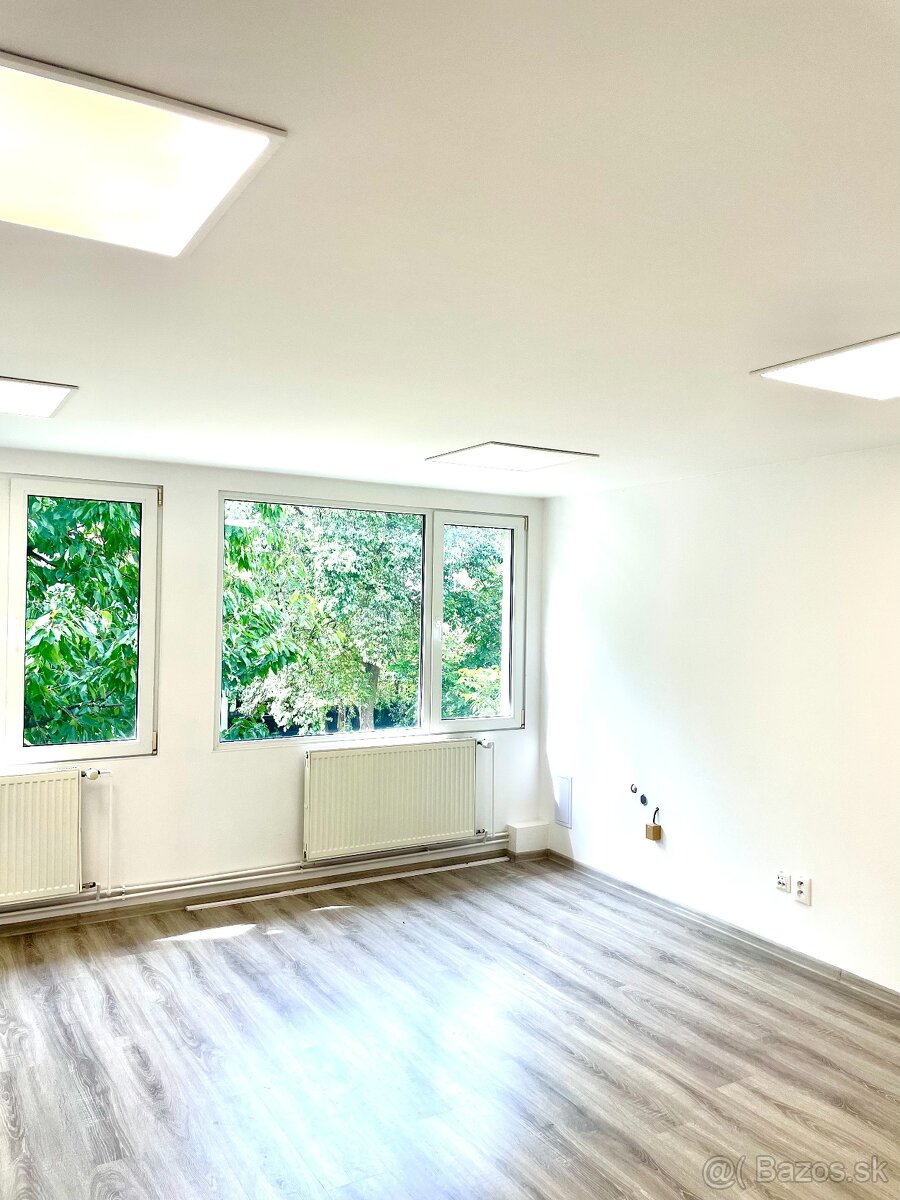 Kancelárske priestory Milcová ulica - 3